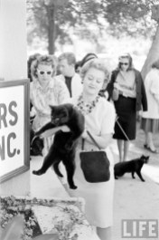 black-cat-auditions-hollywood-1961-3